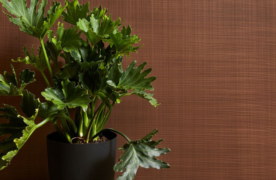 M5392 Copper Veil Feature Wall