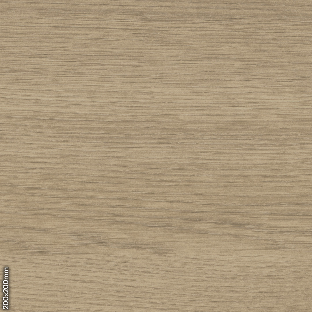 Ashen Oak
