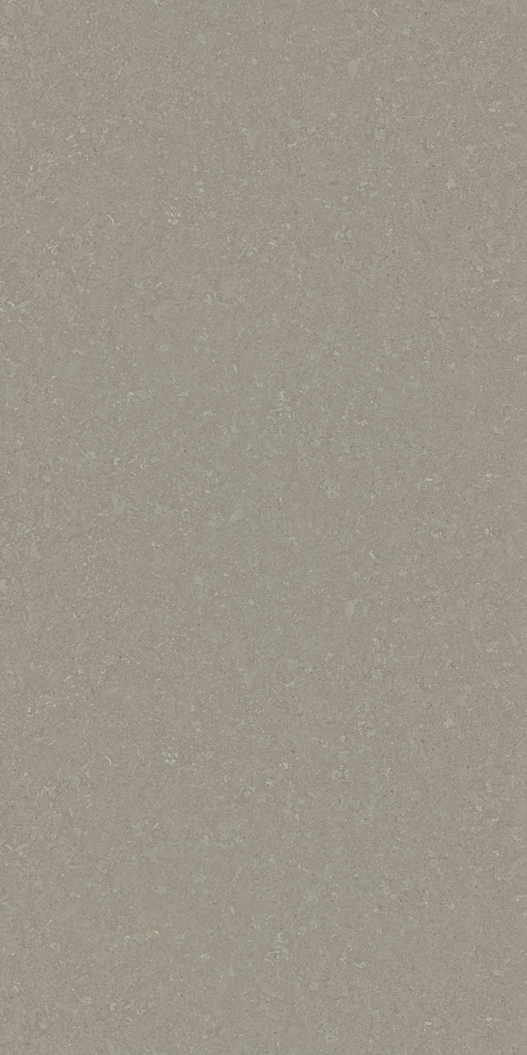 Portland Shellstone