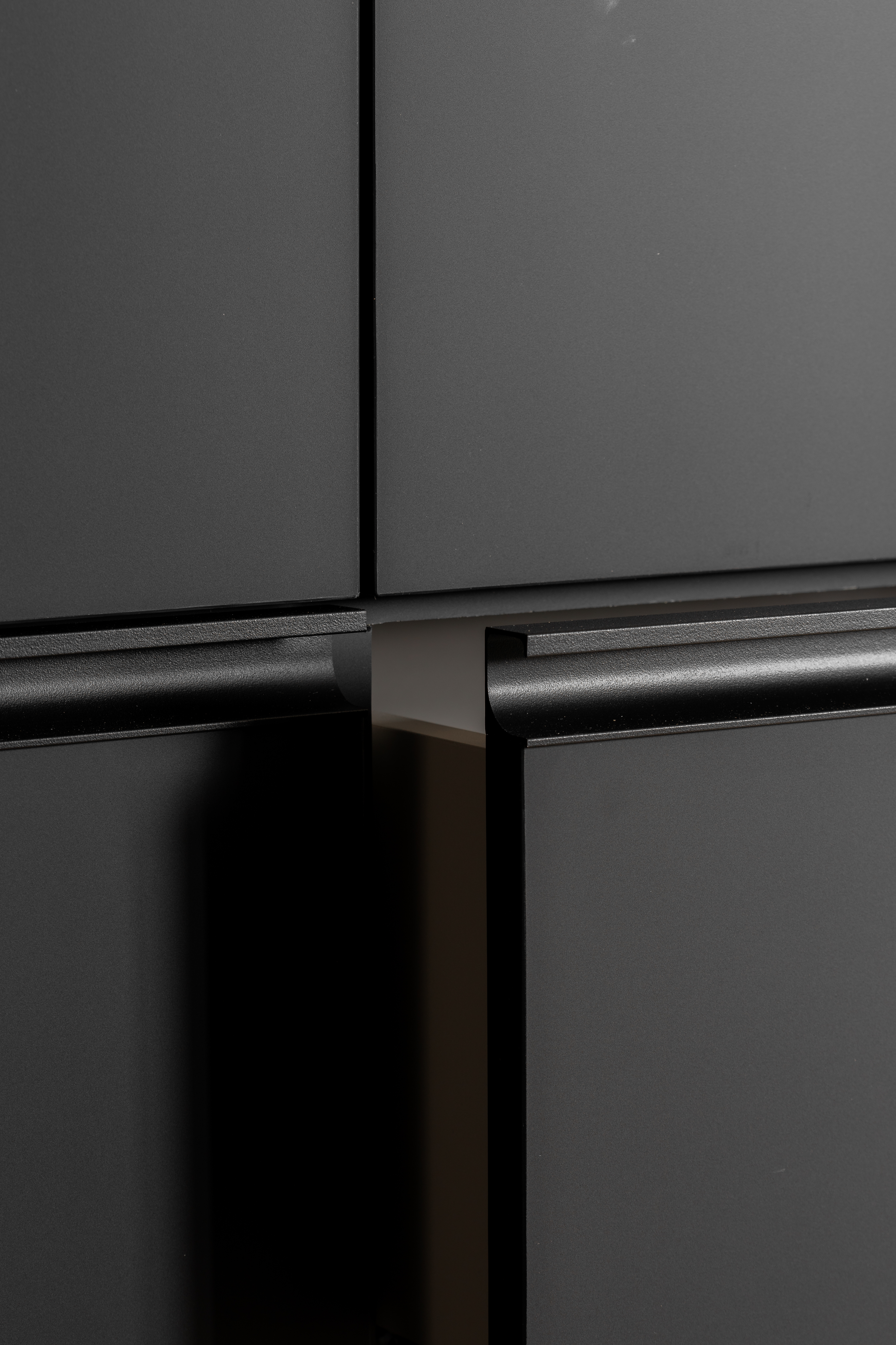 FENIX Cabinet Door 2