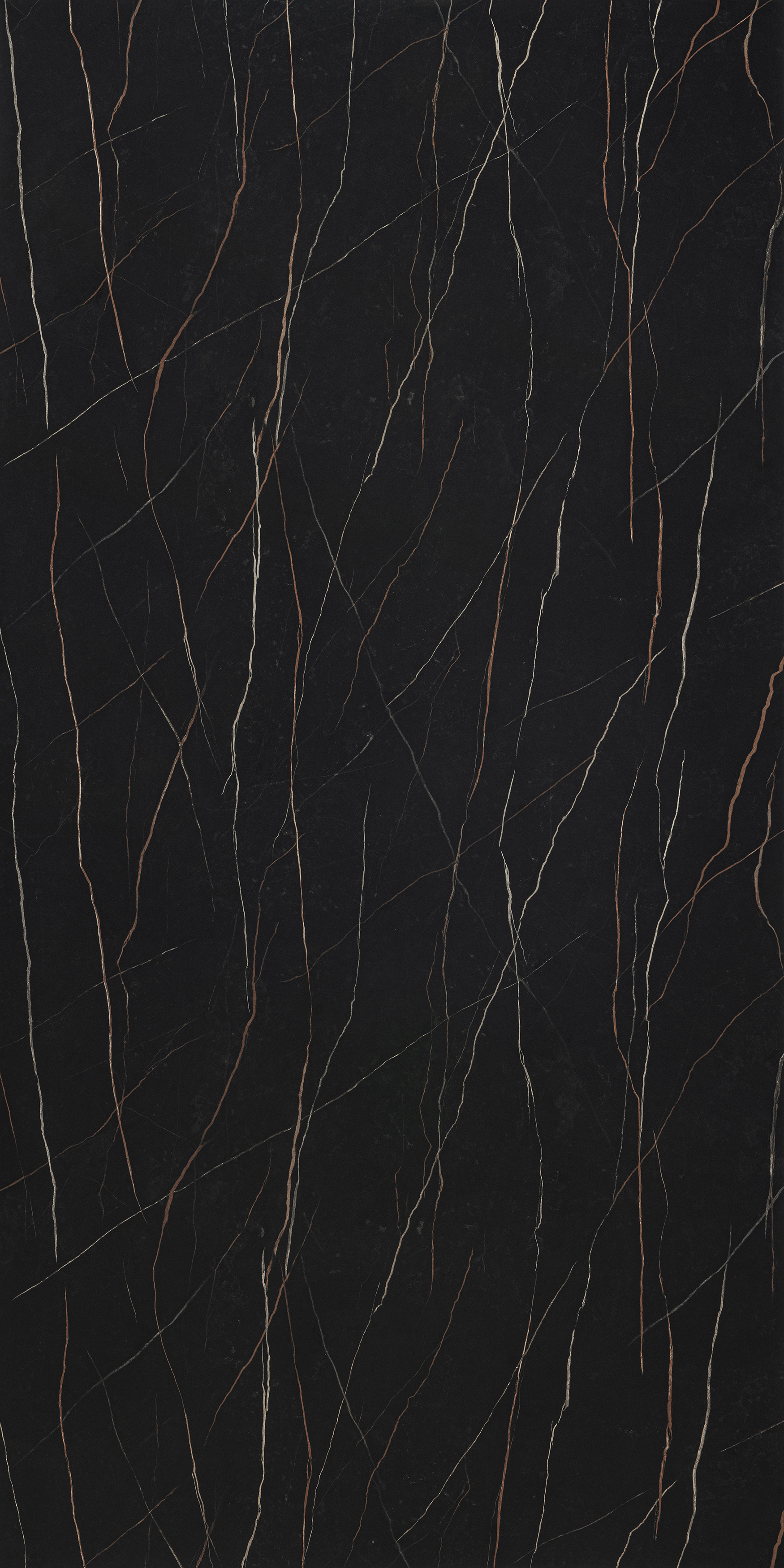 Sahara Noir
