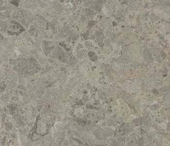 Échantillon Pierre de Schiste Argentée