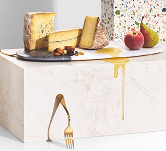 Castle.Proxies.IUpCardProxy?.CardImage?.AltText